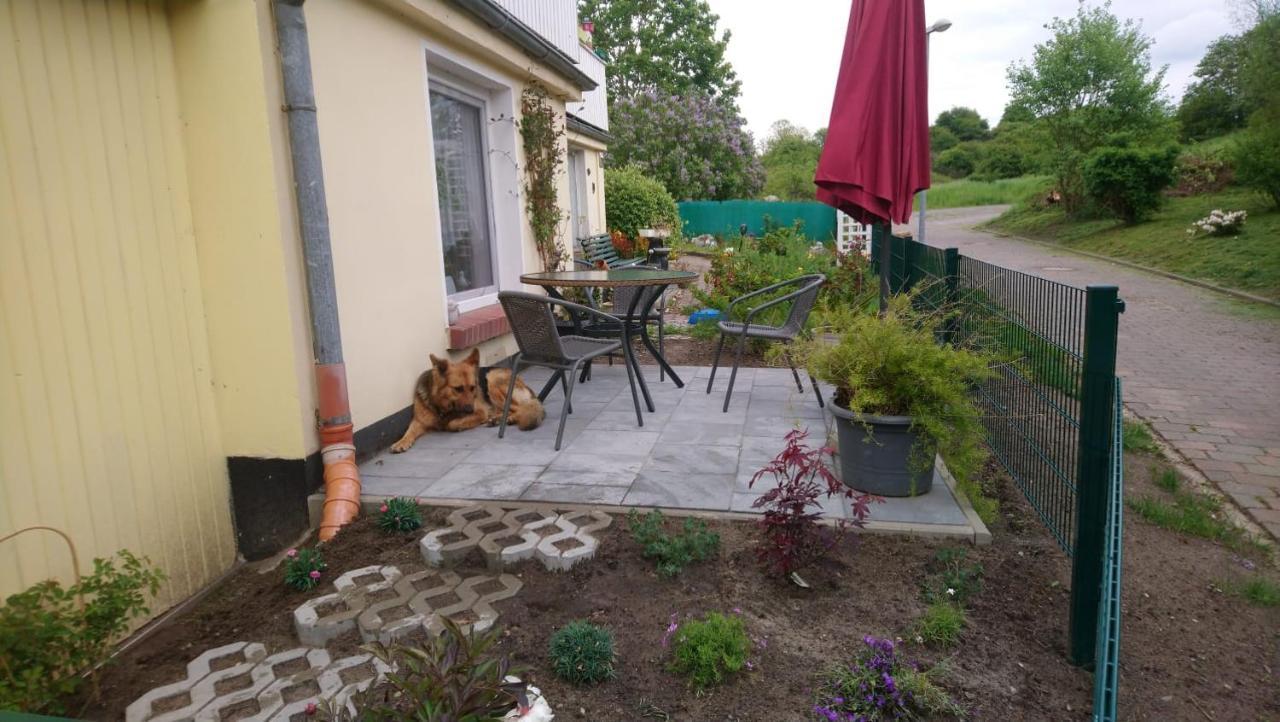 Ferienwohnung Neuensien Sellin  Exteriör bild